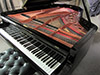 Ierna-Piano-rebuilding-14-tampa